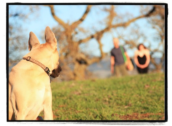 sasha waiting for the couple
