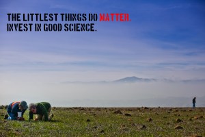 9-Little things matter - CR