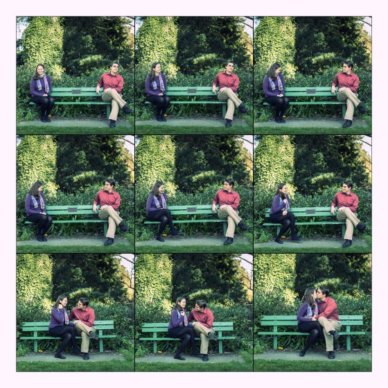 The things that happen on a SF park bench