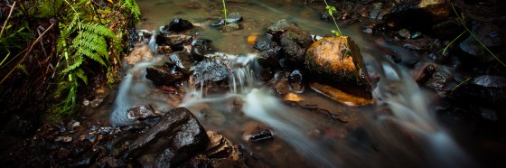 After the storm, Claremont Canyon [Harwood Creek] 2012