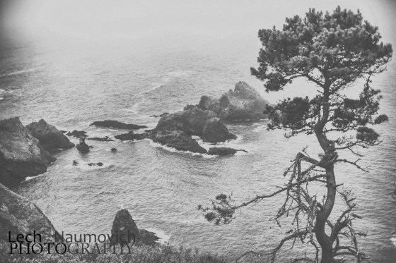 Bragg2SF-Lechphoto--2