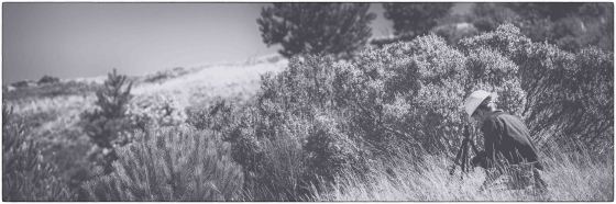 Stefan taking in the scrub and grassland interface.