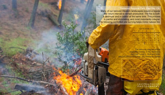 September 2013 Calendar desktop Fire ecology - Lech Naumovich Photography 2