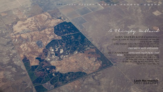 October 2014 Calendar desktop Thirsty Kern - Lech Naumovich Photography