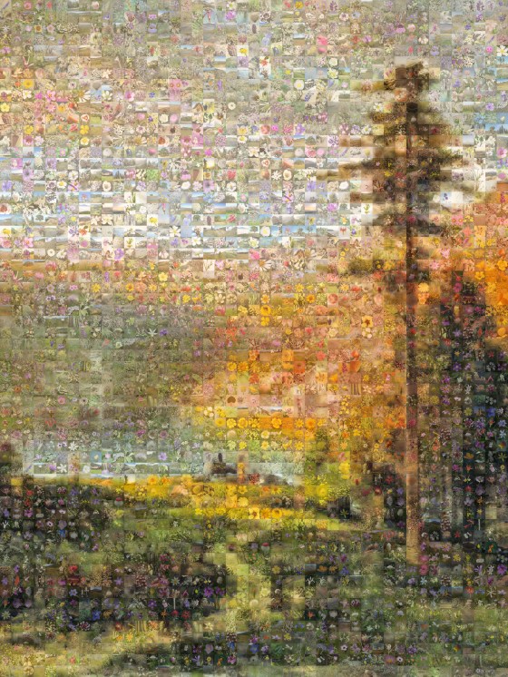 10MB Fremontia Hill Cover-30-40-LechN-18x24print